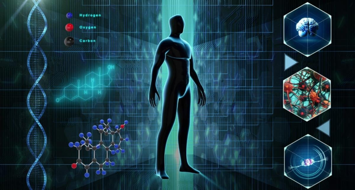 Muscle is the New Metabolism Muscle is the New Metabolism